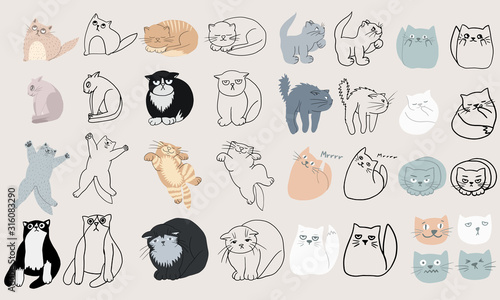 Hand drawn flat cute cats collection. Set of kittens with different emotions and poses. Vector colorful collection perfect for childish decoration clothes, patterns, stickers, cards, website