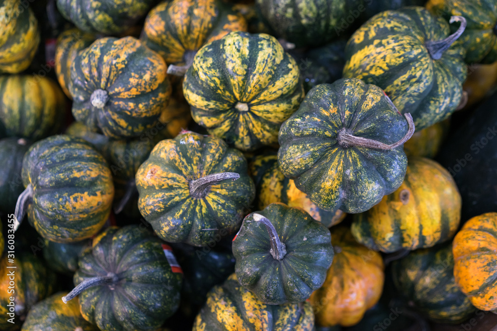 Pumpkins ready for sale in the market. Pumpkins ready for sale in the market.