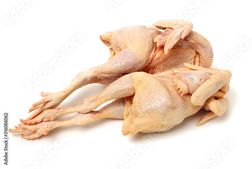 Raw fresh chicken isolated on white background 