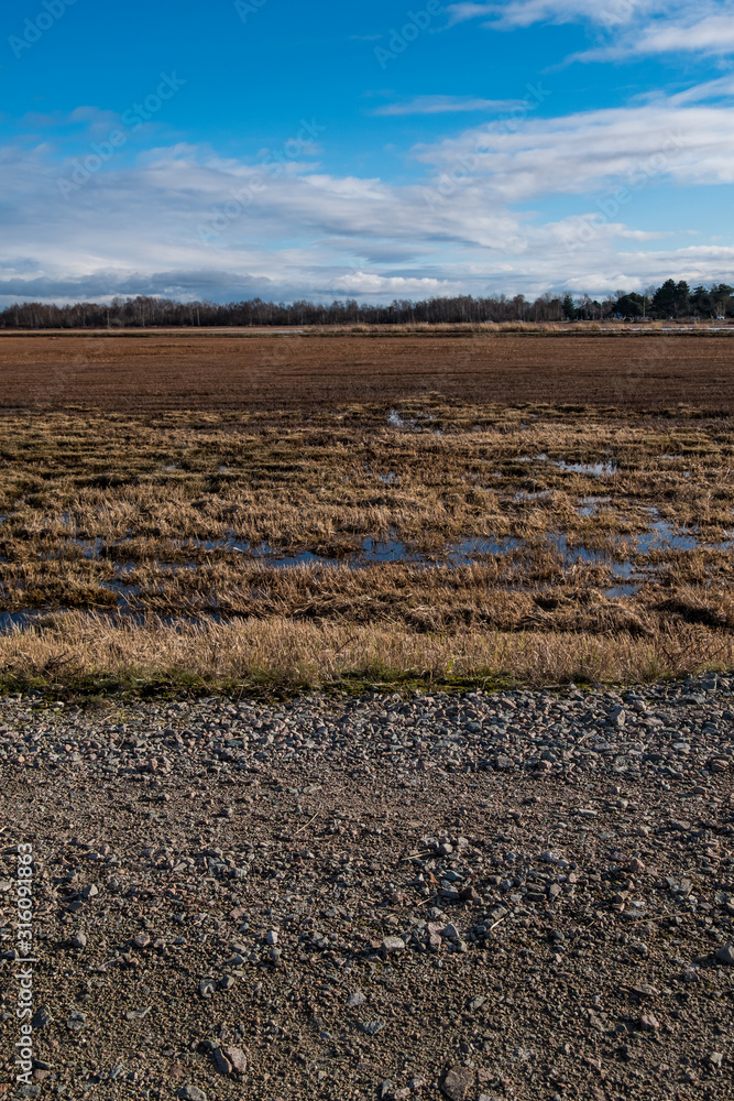 vast open field under the sun with ground covered with brown grasses and few water puddles among them vast open field under the sun with ground covered with brown grasses and few water puddles among them