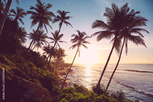 Tropical island at sunrise, color toned picture, Sri Lanka.