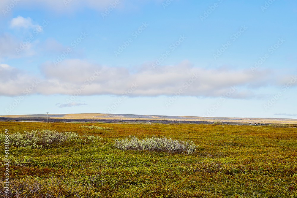 Tundra landscape in the north of Norway or Russia
