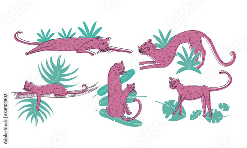 Leopard Standing and Lying on Palm Leaves Vector Set. Stylized Funny African Animal