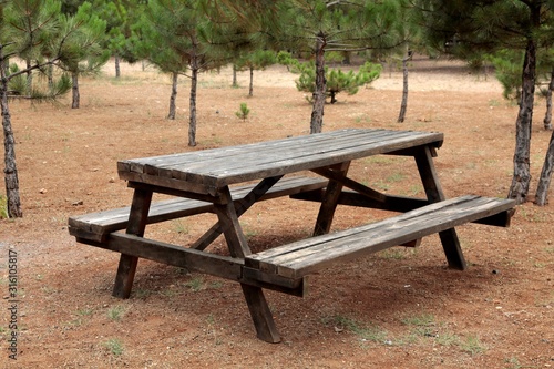  Wooden picnic table in city park © Ahmet