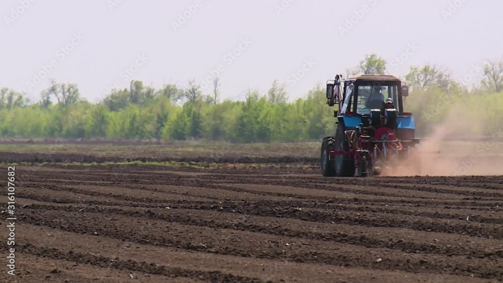 Tractor plows a field for seedlings Tractor plows a field for seedlings