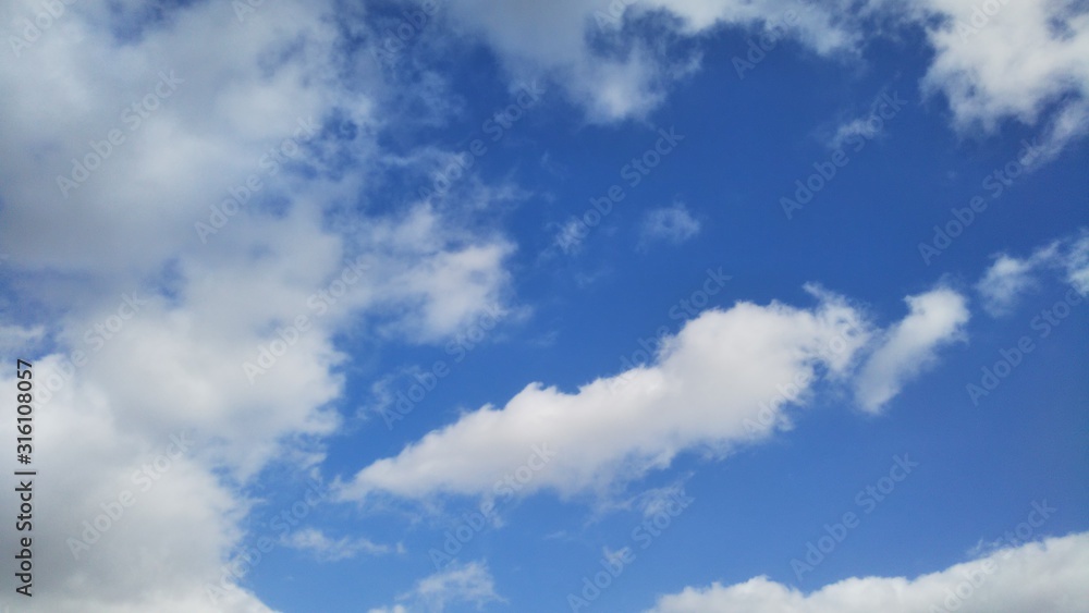 Obraz premium DSC_1539