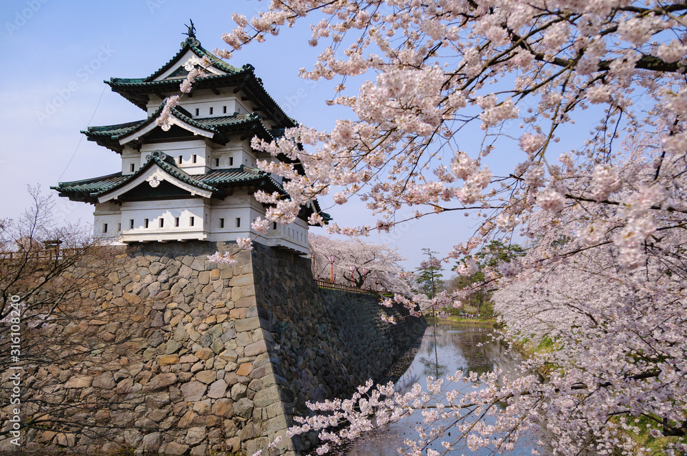 弘前城の桜 弘前城の桜