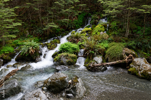 Water forms different waterfalls as it flows over mossy rocks