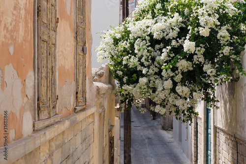 Fototapeta Naklejka Na Ścianę i Meble -  Syros island Greece: Ermoupoli narrow street with flowers