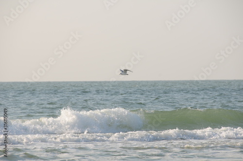 Vacation on sea with waves and seagulls