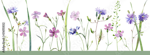 Background from wild carnations, cornflowers and other flowers
