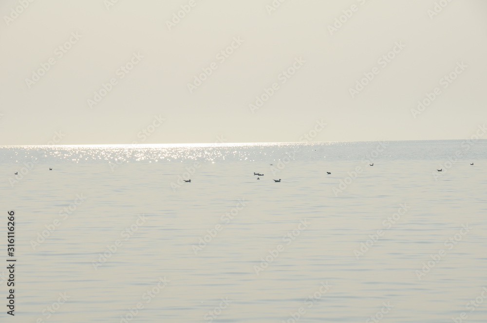 Vacation on sea with waves and seagulls