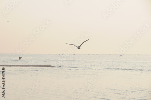 Vacation on sea with waves and seagulls