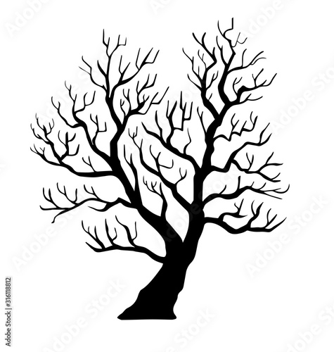 hand drawn dry tree vector