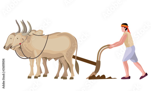 indian, asian farmer ploughing with bullocks vector