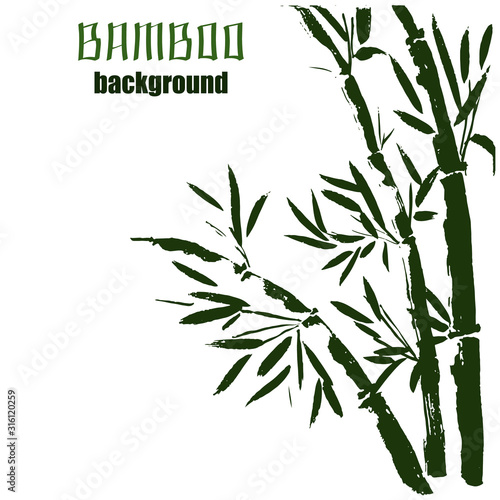 Bamboo plant wigs and leaves ink pen hand drawn chinese drawing with bamboo vector illustration.