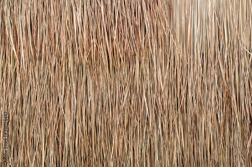 Close up of thatch roof background, hay or dry grass background