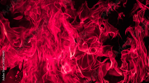 Closeup pink fire for fire background, Closeup forest fire