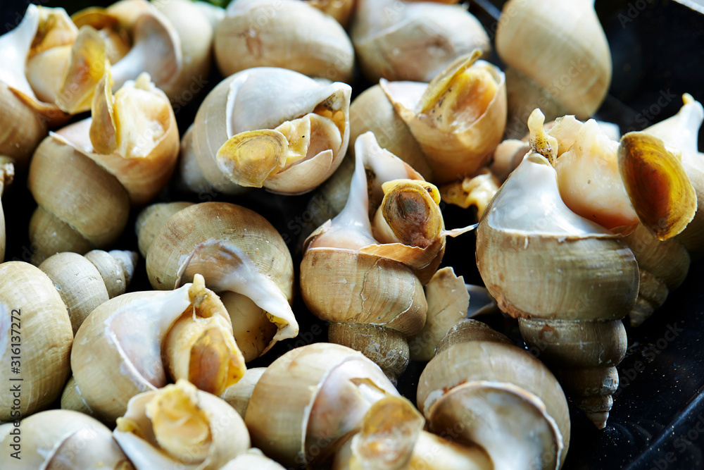 Korean fresh steamed seashell dish Korean fresh steamed seashell dish