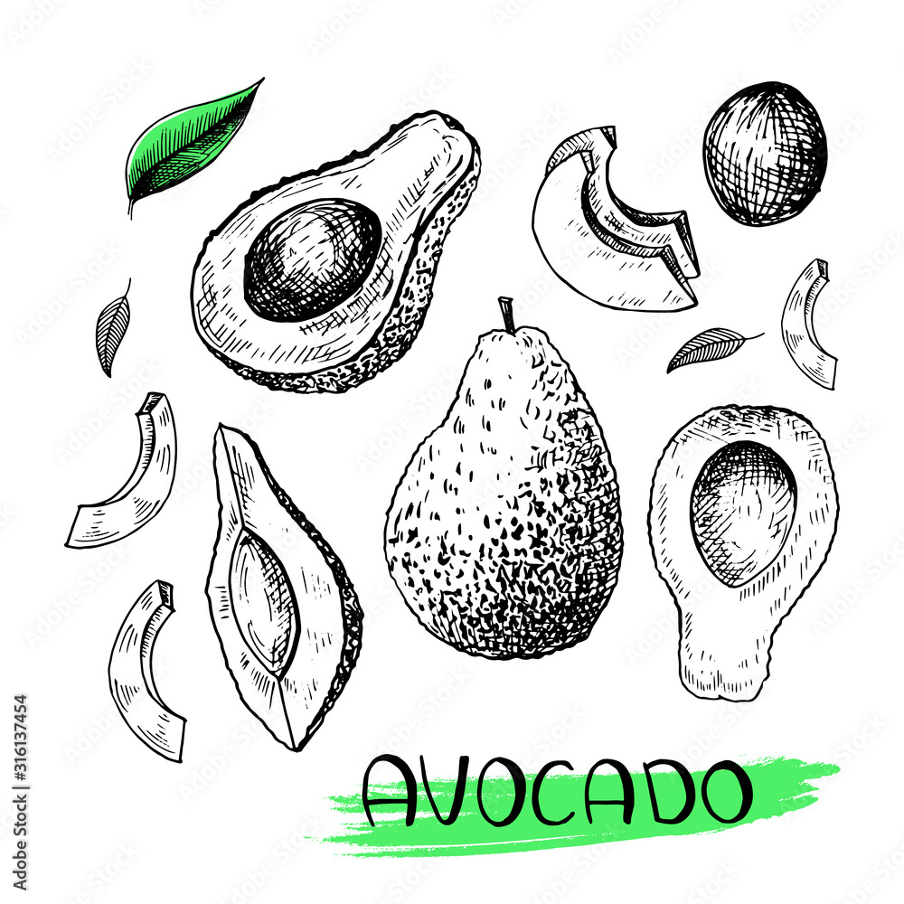 Avocado. Set of hand-drawn avocado in sketch style. Black vector ...