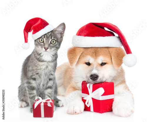 Akita inu puppy and cat wearing red christmas hats sit with gift boxes. isolated on white background © Ermolaev Alexandr