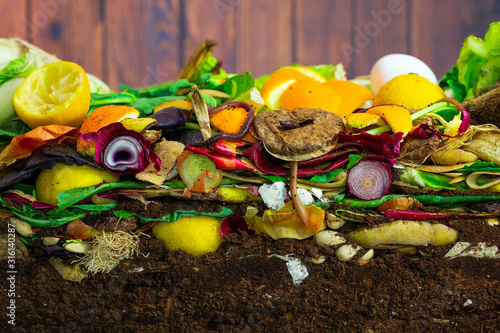 Earthwoms living in a colorful compost heap consisting of rotting kitchen leftovers