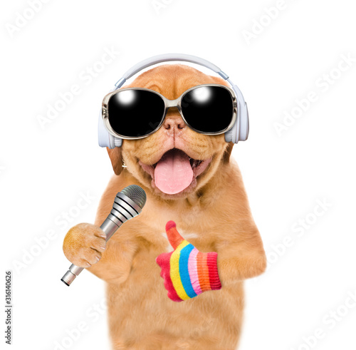 Funny puppy wearing earphones and sunglasses holds a microphone and shows thumbs up gesture. Isolated on white background © Ermolaev Alexandr