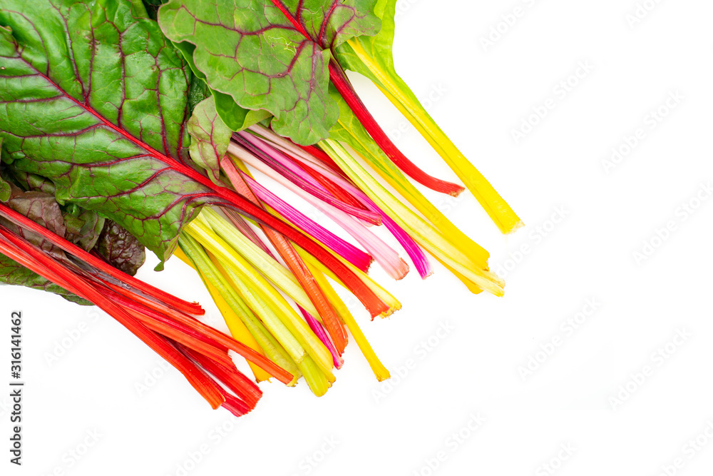 Fotografie Swiss rainbow chard with white background