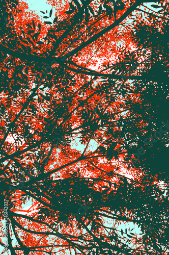 Summer foliage scenery seen from below, looking up. Shadowing green and orange leaves against the light, blue sky and soft white clouds.