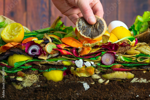 Male hand adding a biodegradable coffeepad to a colorful compost heap consisting of rotting kitchen leftovers photo