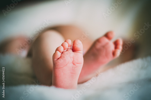newborn baby feet on female hands, shape like a lovely heart photo