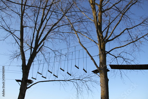 Jeux d'accrobranche dans les arbres