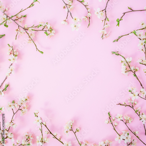 Floral frame with white spring flower isolated on pink background. Flat lay, top view