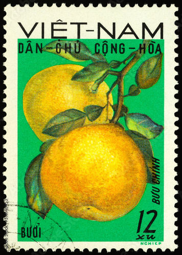 Pomelo fruits on postage stamp