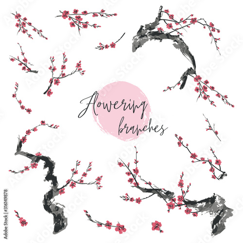 Vector set of branches with pink flowers on a white background
