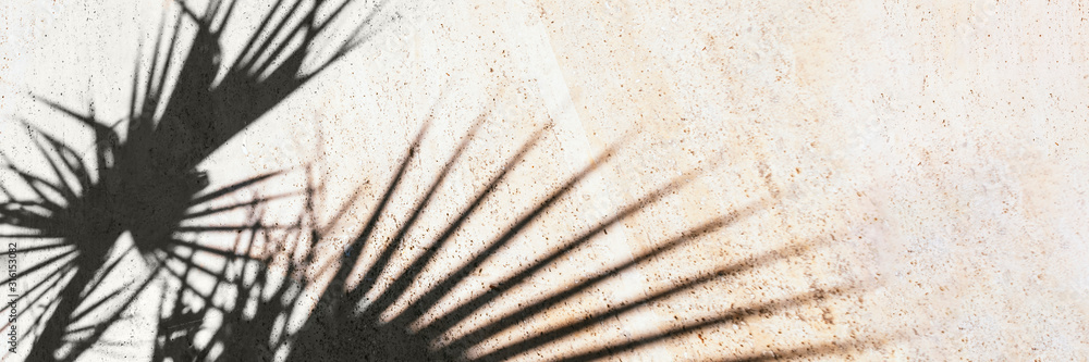 Black shadow of tropical plants on tiles. Beautiful style of light background. Sunny summer day. Banner of wall or floor with shade. Stock photo. - obrazy, fototapety, plakaty 
