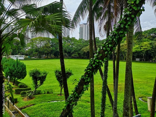 Photography green park among the skyscrapers of kuala lumpur