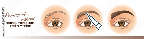 Eyebrow permanent makeup illustration. Tattoo procedure illustration, microblading