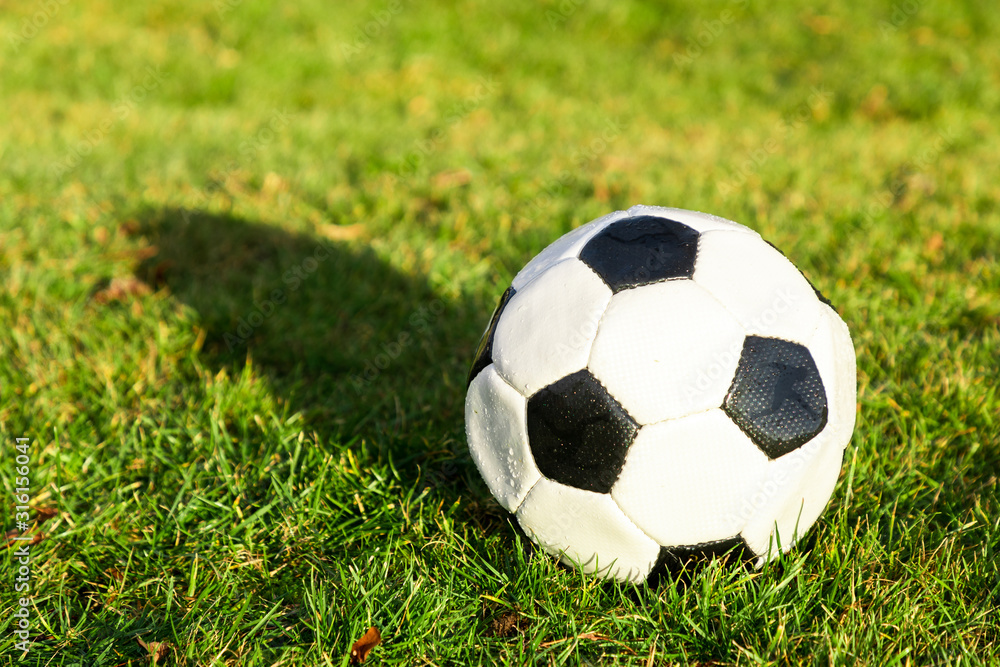 black white soccer ball with grass
