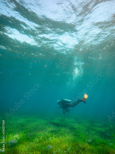 Bild auf Leinwand A scuba diver swimming underwater in the blue ocean near the sea grass