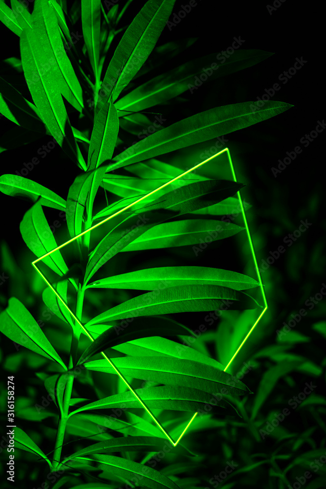 Fototapeta premium Bright green tropical leaves with neon rectangular frame minimalistic background. Floral backdrop concept. Floristry hobby. Web banner, greeting card idea. Concept color of Year
