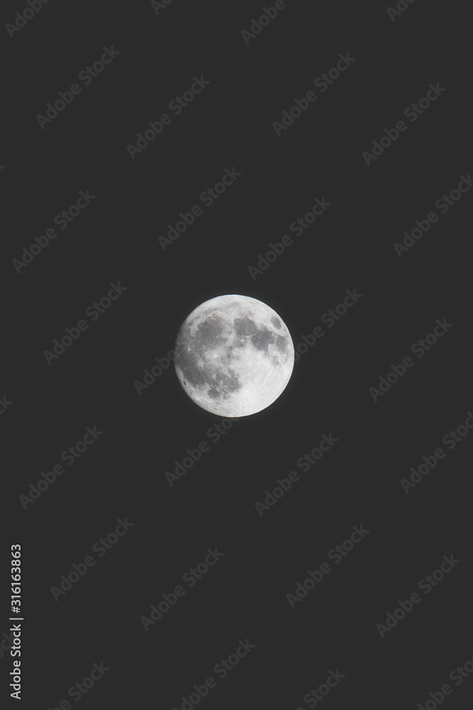 Obraz premium full moon in the sky