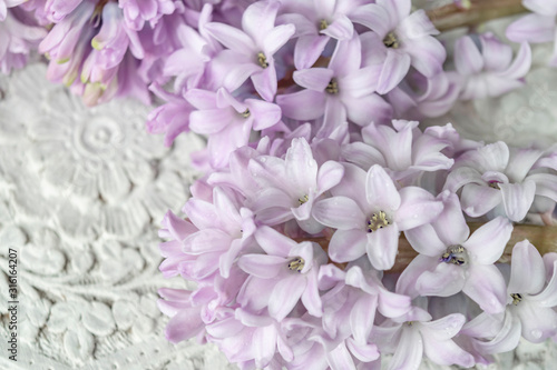 Floral chic vintage background with pastel colors flowers. Lilac hyacinths on the background of white wood carving close up. Spring flowers for greetings.