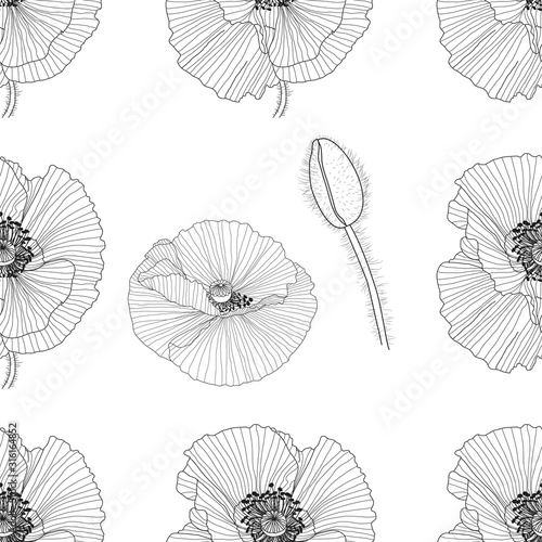 seamless pattern of black and white poppies