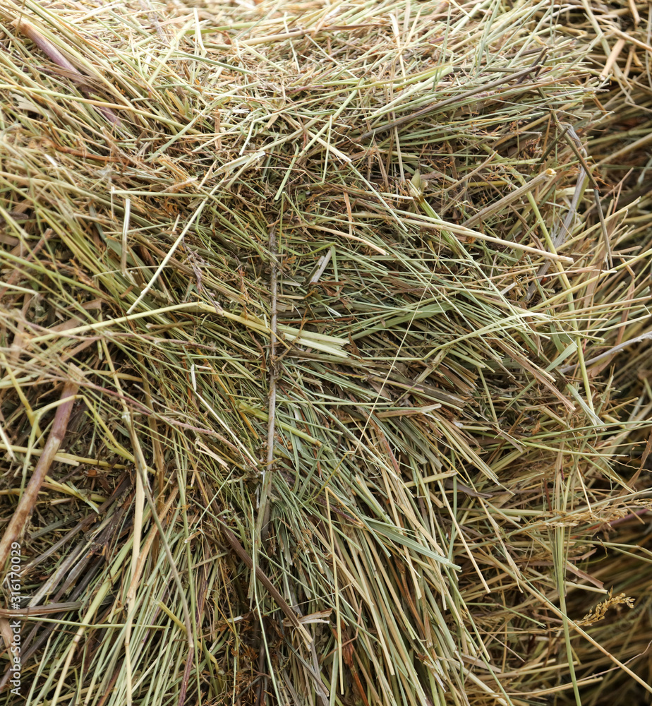 Dry hay as an abstract background Dry hay as an abstract background