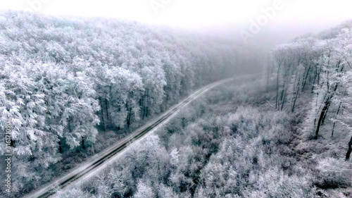 Winter forest nearby Eplény © Attila