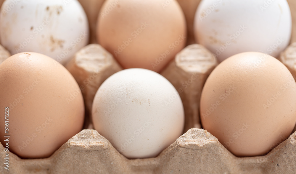 Fresh chicken eggs in industrial mud as a background Fresh chicken eggs in industrial mud as a background