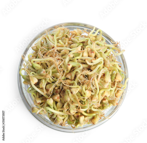 Glass bowl of sprouted green buckwheat isolated on white, top view