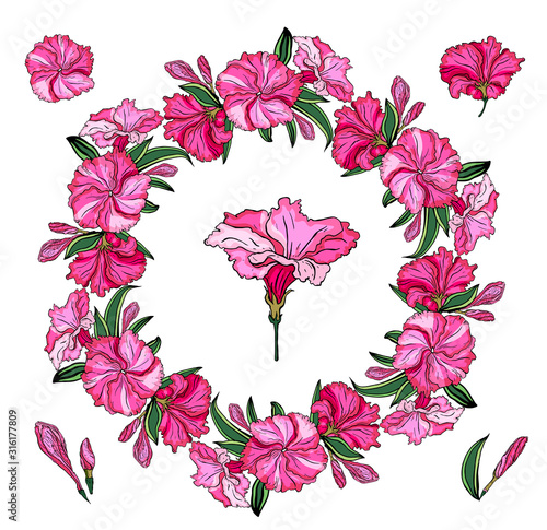 Fototapeta Naklejka Na Ścianę i Meble -  Round frame with delicate pink flowers. Spring floral blossom Vector background. Bright illustration, can be used as card,invitation, for wedding,birthday and other holiday.