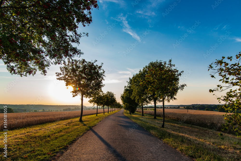 Fototapeta premium road in the countryside